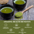 Organic Moringa Powder - 100g | Himalayan Chef